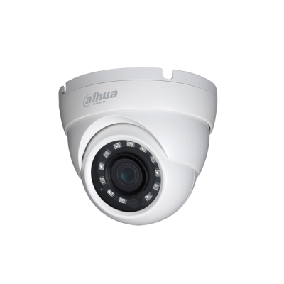 2MP IR Eyeball Network Camera