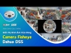 25 – Video Demo Các Chế Độ Hiển Thị Hình Ảnh Của “Dòng Camera FISH EYE” Dahua DSS